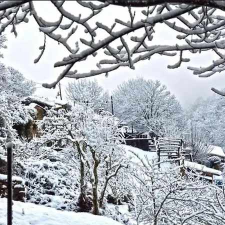 A Casa Da Praca - The Square House Oda ve Kahvaltı Miranda do Corvo