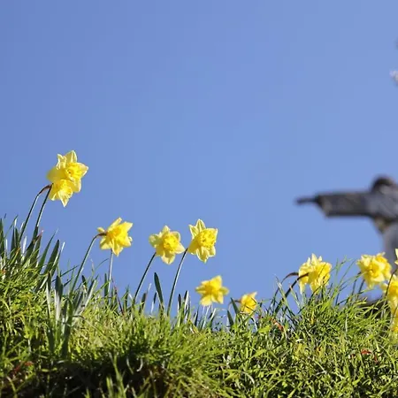 A Casa Da Praca - The Square House 3*