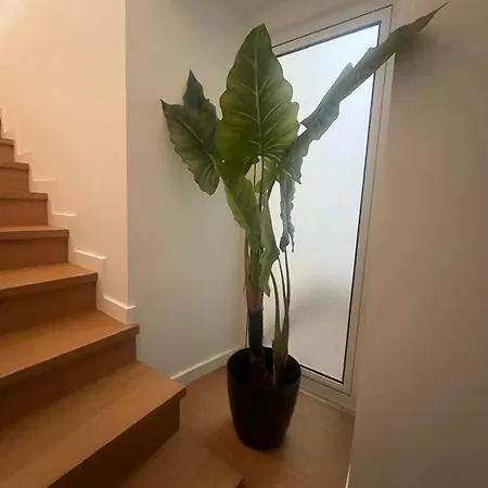 Oda ve Kahvaltı A Casa Da Praca - The Square House 3*