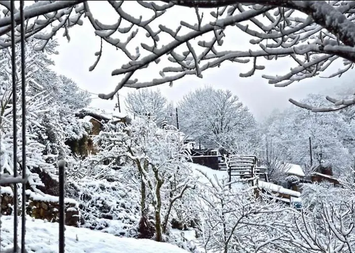 A Casa Da Praça - The Square House Alojamento de Acomodação e Pequeno-almoço Miranda do Corvo